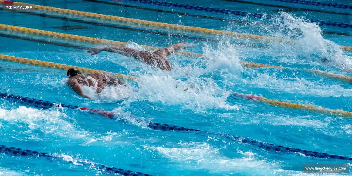 为什么选择我们